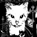 𝖝𝖘𝖊𝖑𝖋 server Discord Server Banner