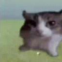 Teen hangout Discord Server Banner