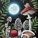 Grow a mushroom Discord Server Banner
