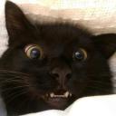 Autism Discord Server Banner