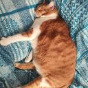 Rincón gamer Discord Server Banner