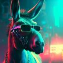 The Cyberdonkey Discord Server Banner