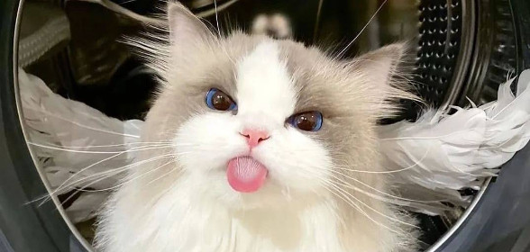 ✨ New faces welcome!