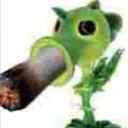 The backyard Discord Server Banner