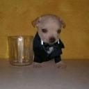 ホ．˚₊·-͟͟͞🔥・NexusOne． Discord Server Banner