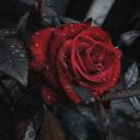 Military intelligence 24012 Discord Server Banner