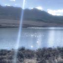 Bliss Discord Server Banner