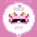 Axolotl ds Discord Server Banner