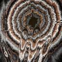 Snap Instagram Hacking Discord Server Banner