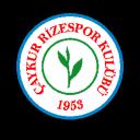 PixelRize Discord Server Banner