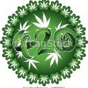 medical cannabis and more Discord Server Banner