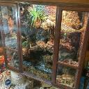 Custom Reptile Enclosures Icon