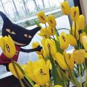 MANA Discord Server Banner