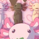 AxolotlePinky Discord Server Banner