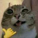 PartnerCap Discord Server Banner