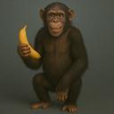 𝐀𝐥 𝐭𝐚𝐢𝐟 Discord Server Banner