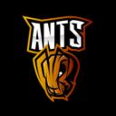 FORMIGUEIRO GERAL Discord Server Banner