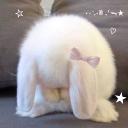 lonely girl looking < 3 Discord Server Banner