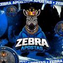 ORG ZEBRA | SALA 5C Discord Server Banner
