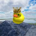 Duckycash's Community Server Discord Server Banner