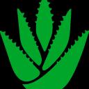 Wellcum Discord Server Banner