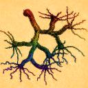 Regenerative Biology Discord Server Banner