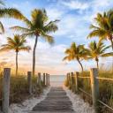 🌴☀ Florida 😎🏄 Discord Server Banner