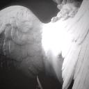 𐔌𝕬𝖓𝖏𝖔𝖘 𝓭𝖔 𝓭𝖊𝖘𝖙𝖎𝖓𝖔 Discord Server Banner