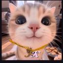 Frissk Discord Server Banner