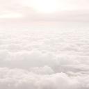 Soft🕊 Discord Server Banner