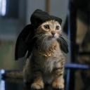 Thug Cat Inc. Discord Server Banner