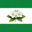 Third Syrian Opposition Discord Server Banner