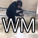 Washing Monkeys Discord Server Banner