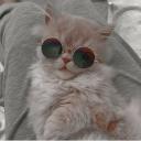 revived Discord Server Banner