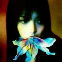 Serendipity Discord Server Banner