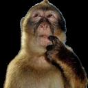 Faultline Discord Server Banner