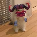 Fizzler's Gang Discord Server Banner