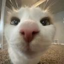 cheap robux Discord Server Banner