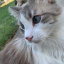 LuckyLand Discord Server Banner