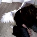 /courtesy Discord Server Banner