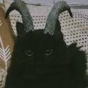 Lunar Lounge Discord Server Banner