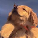 Le nom c'n'est qu'un détail Discord Server Banner