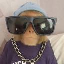 easymoney Discord Server Banner