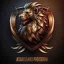ASGARDIANS PRO SCRIMS Discord Server Banner