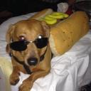 hatdog na gold server Discord Server Banner