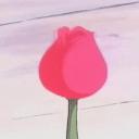 𝐒𝐰𝐞𝐞𝐭 𝐫𝐨𝐨𝐦 Discord Server Banner