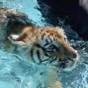 russell Discord Server Banner