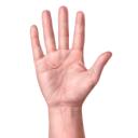 daily hand pics?????? Discord Server Banner
