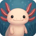 AXOLOTL × DACH Discord Server Banner