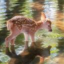 -`✮´- mother nature Discord Server Banner